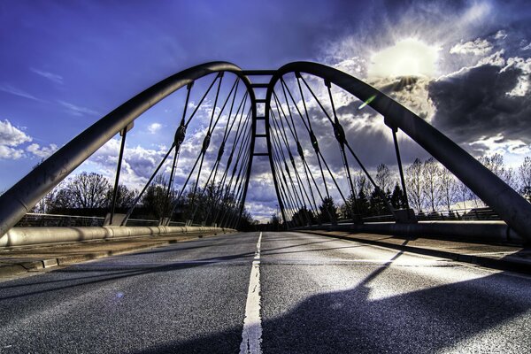 Beautiful blossoming over the bridge