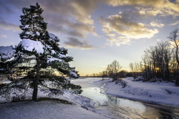 È inverno. Fiume e foresta