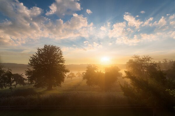 Paysage tôt le matin