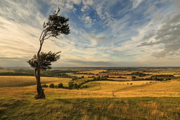 Dramatische Landschaft an einem windigen Tag mit wunderbarem Himmel