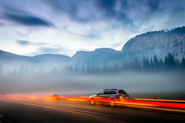 The car rushes through the national park