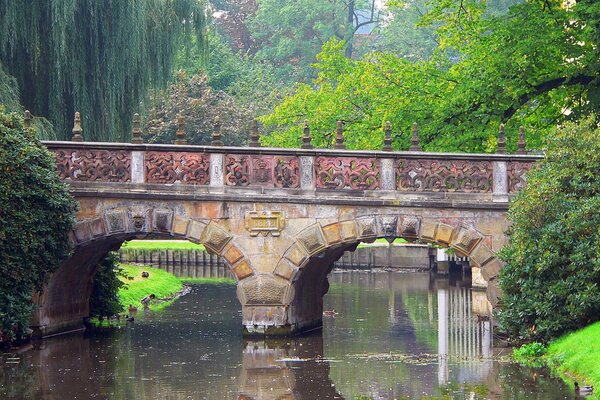 Beautiful bridge in the park, beautiful bridge in the park, trees and bridge in the park, amazing bridge in the park