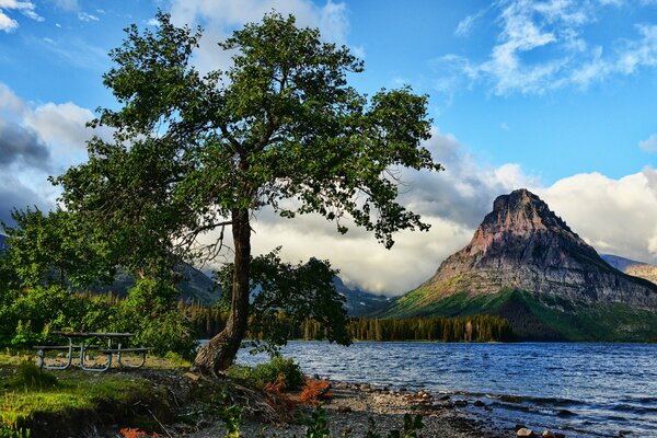 Paisaje de árbol colorido junto al lago de montaña