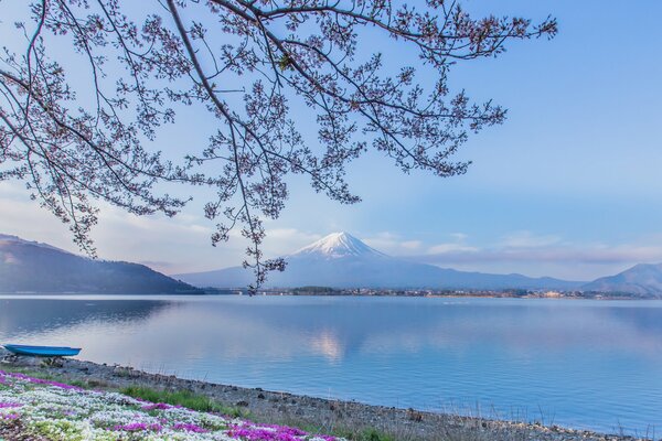 Paisaje con vistas al Monte Fuji y al lago