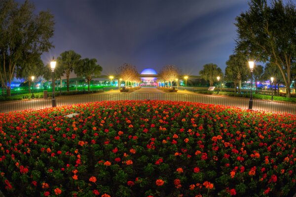 Wieczór, park, miasto kwietnik z kwiatami latarnie