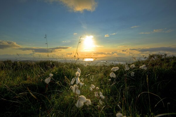 Landschaft Sonnenuntergang am Meer