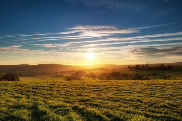 Alba sul campo verde