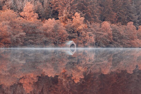 Riflessione di alberi e pendio nel lago