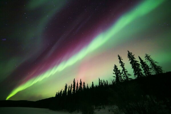 Northern lights over the black forest