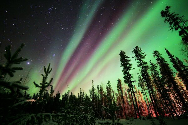 Paesaggio del cielo notturno con aurora boreale