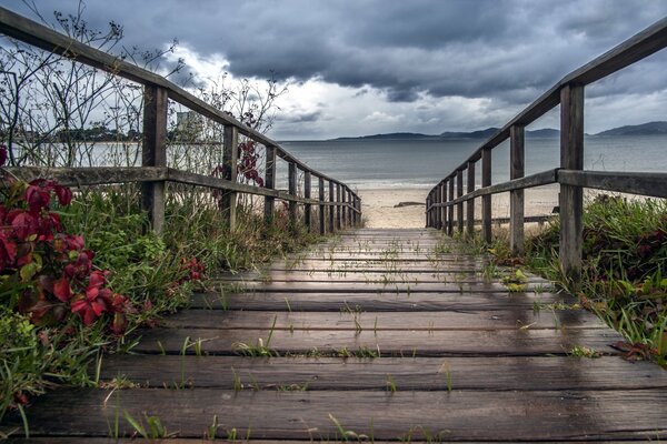 Brücke, die zum Meer führt