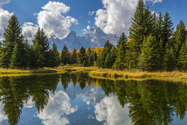 Reflejo de árboles y nubes en el agua