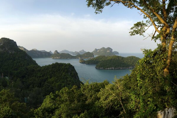 Park and islands of land in the water