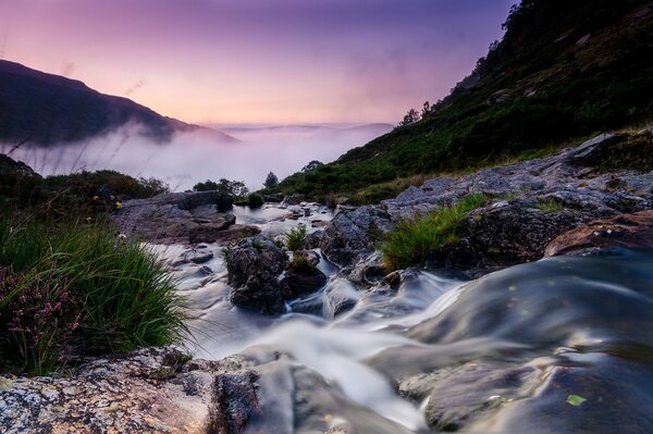 Nature paysage brouillard, montagne pierres ruisseau