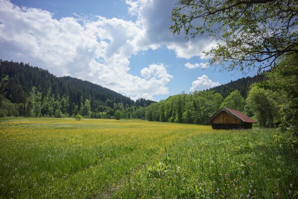 Germania, prato verde. Casa nel mezzo della radura