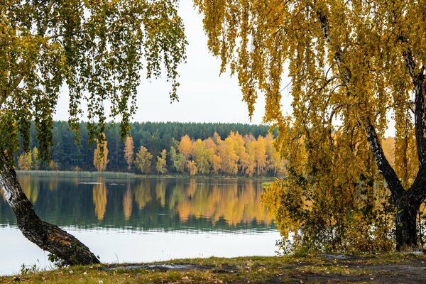 Берег озера осенньго леса