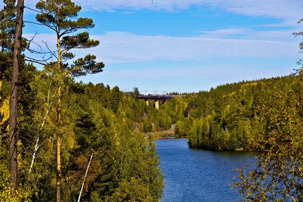 Fiume lungo la foresta, con vista sulla ferrovia