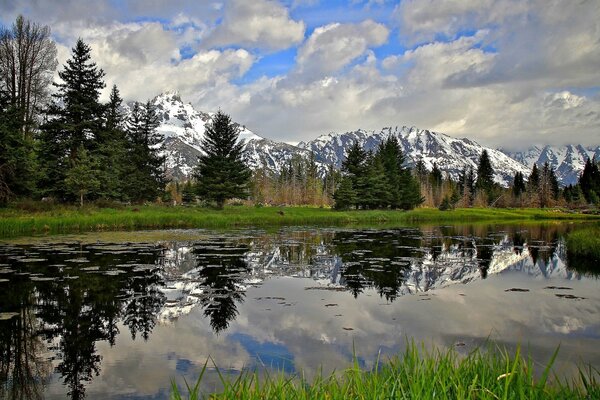 Mountains and next to them a lake surrounded by forest