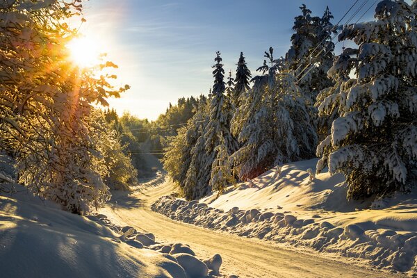 Winterlandschaft. Verschneite Straße im Wald