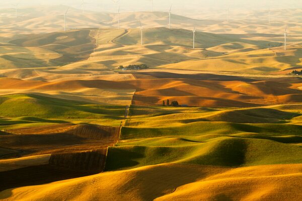 Windmills on the yellow hills