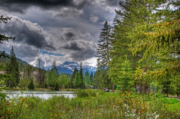 Foresta con nuvole temporalesche e fiume