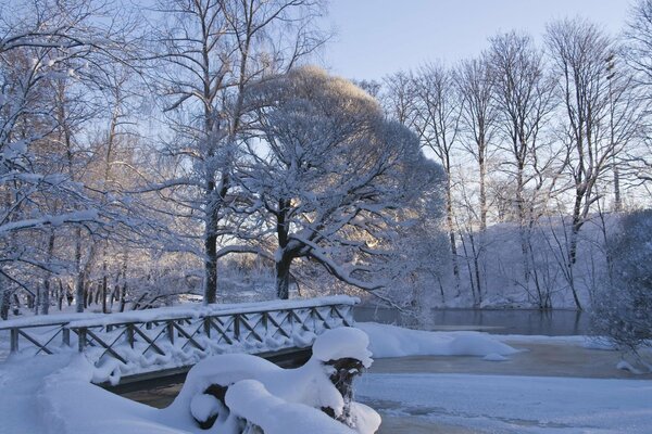 A bridge in a winter landscape with snow-covered trees