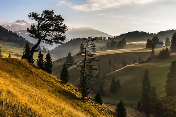 Туманное утро в горах