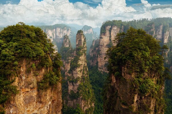 China National Forest Park