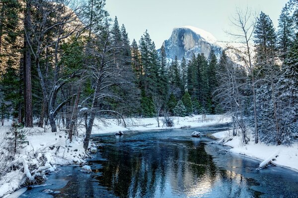 River in the winter forest in the USA