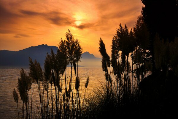 Sunset landscape with sea and mountains