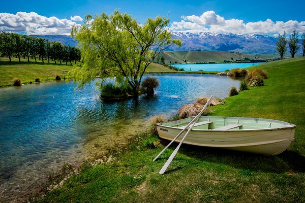 Boat on the shore of the lake with a tree