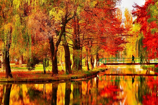 Autumn paints with bright colors