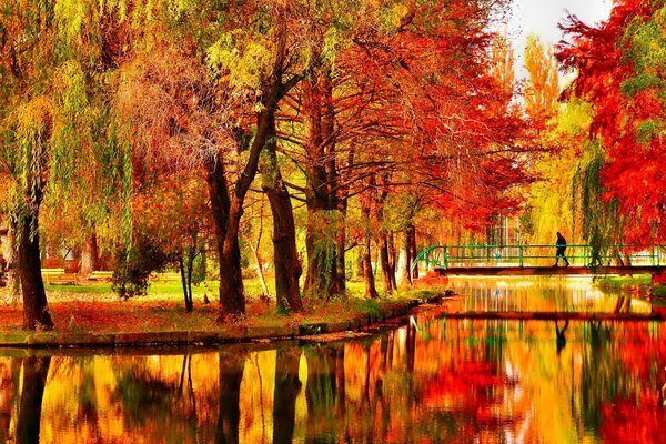 L autunno dipinge con colori vivaci