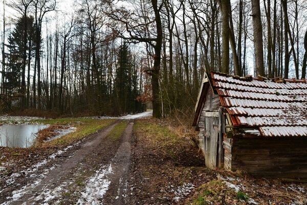 Cabaña en medio del bosque