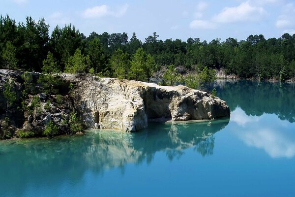 Tall trees in the forest with a lake and wonderful stones on the rocks