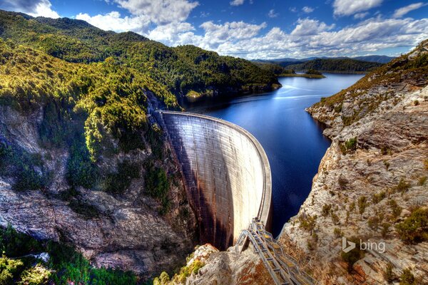 Platino Gordon en Tasmania