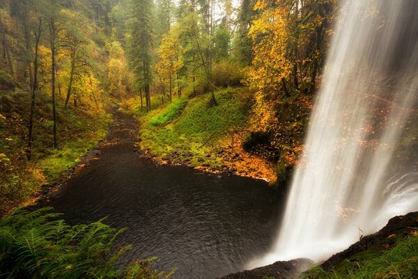 Schöne Wasserfalllandschaft im Wald