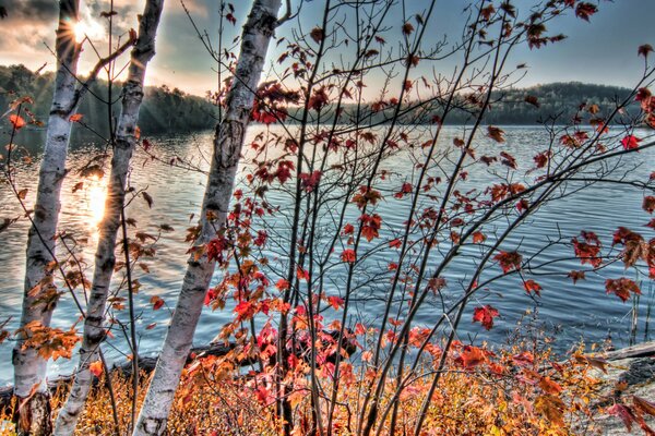 Photo de la nature automnale et de la rivière