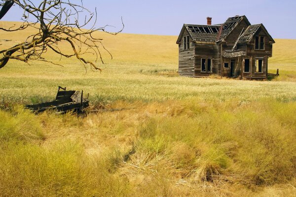 Заброшенный деревянный дом в поле