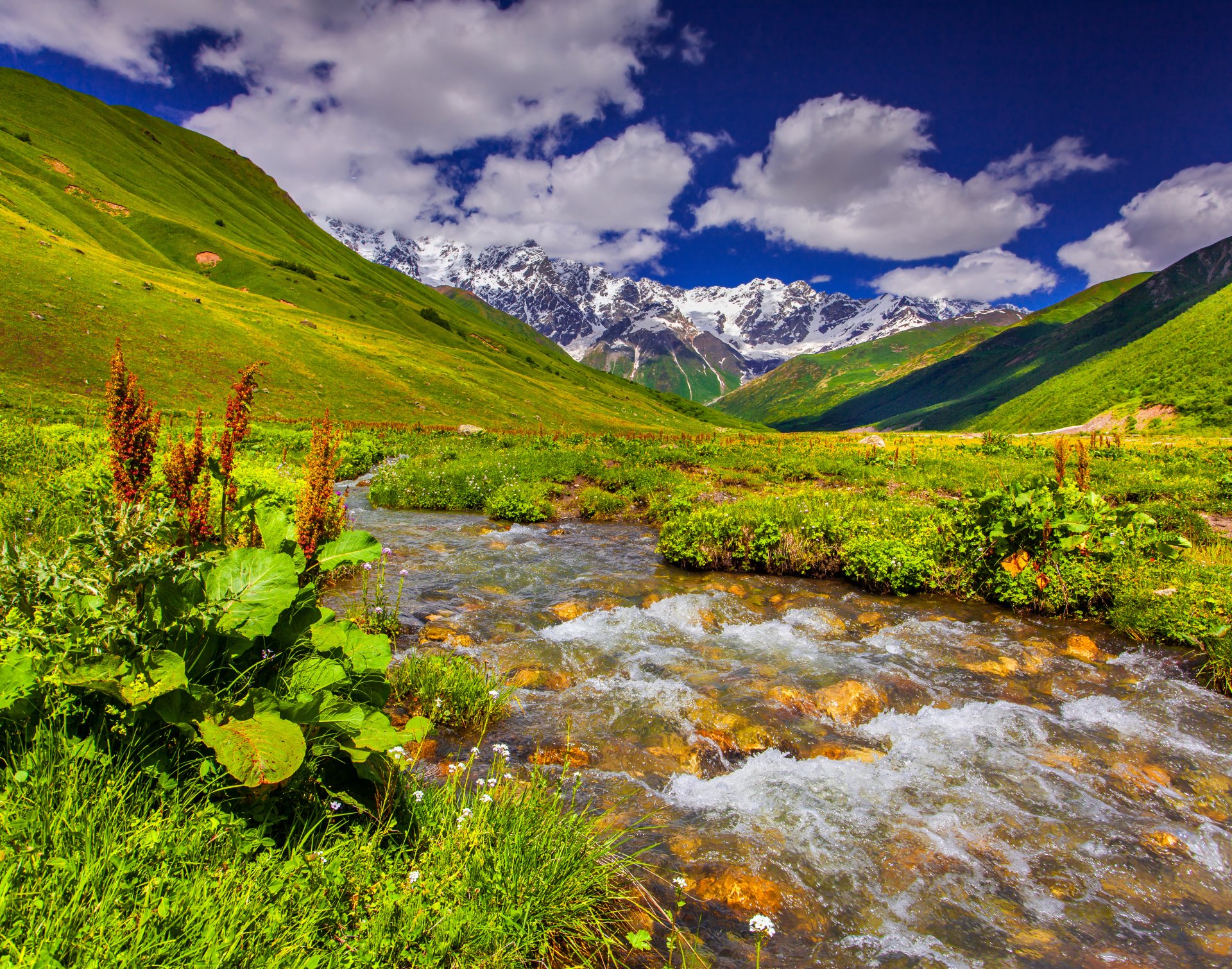 natura paesaggio fiume cielo erba prati