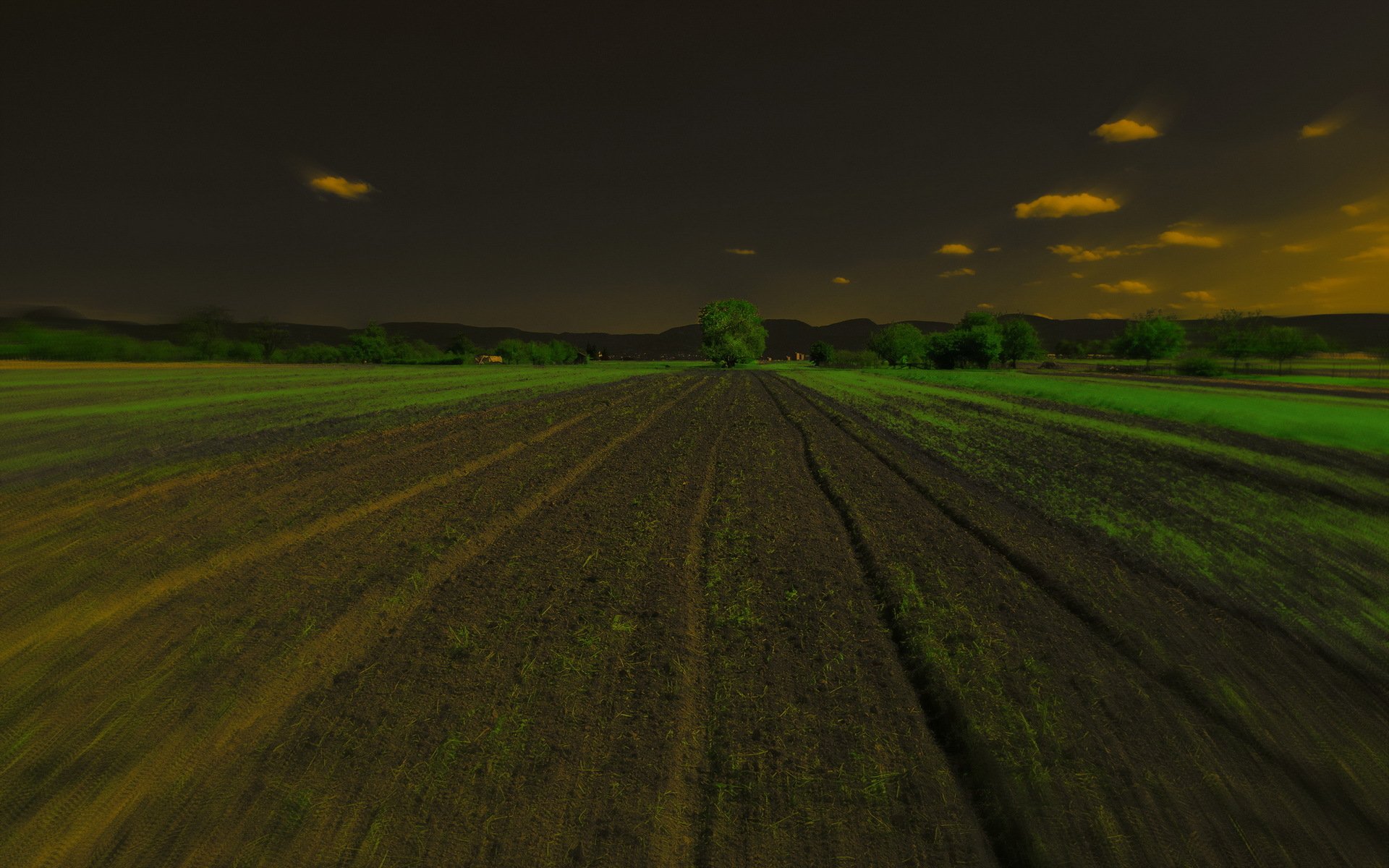 campo noche paisaje