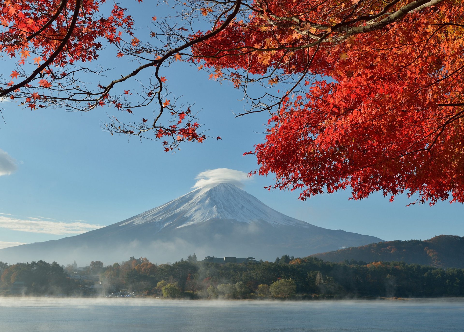 japan mount fuji sky lake tree leaves autumn