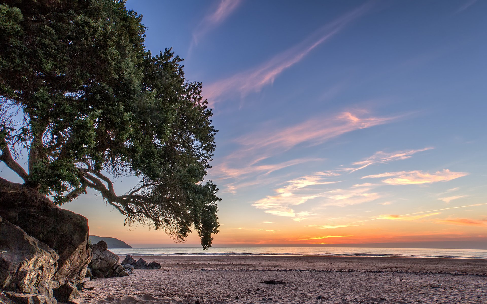 côte coucher de soleil océan mer plage arbre ciel