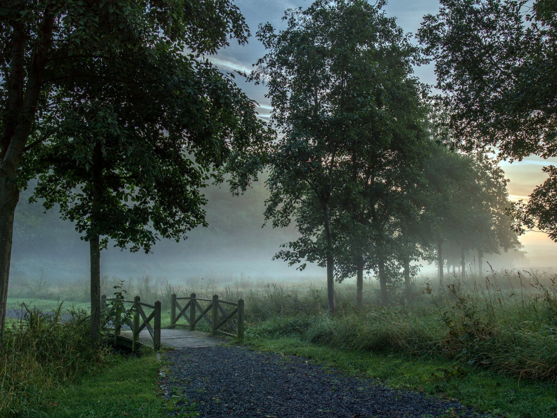 morning fog road bridge landscape nature