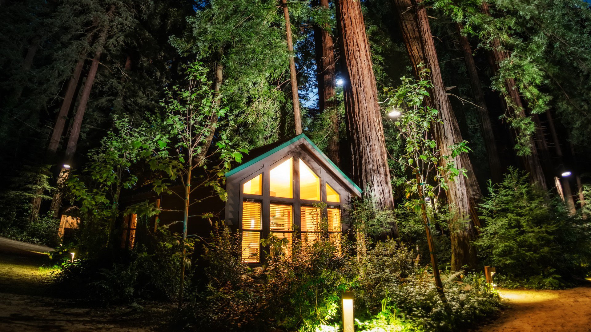 forêt arbres maison lumières lumière parc hdr