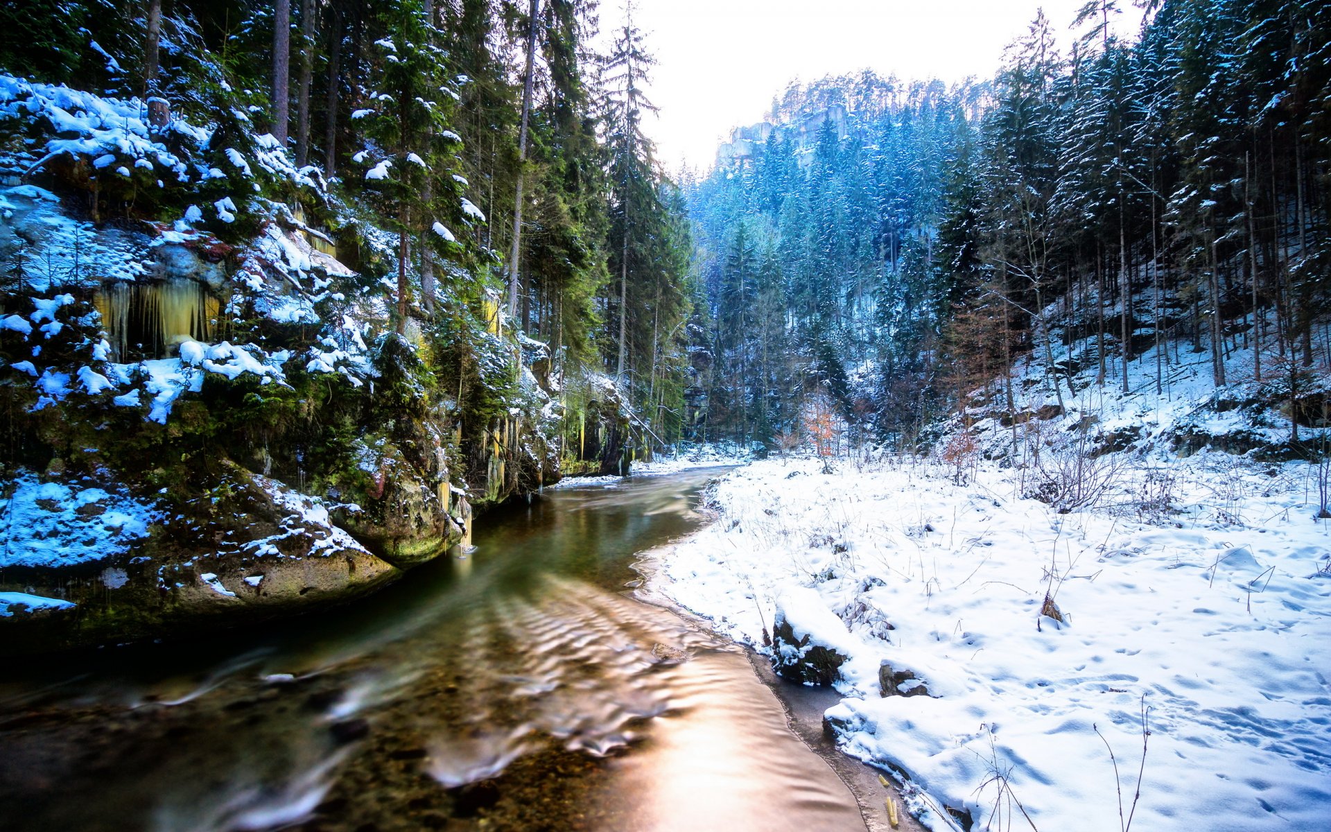 winter river forest nature landscape