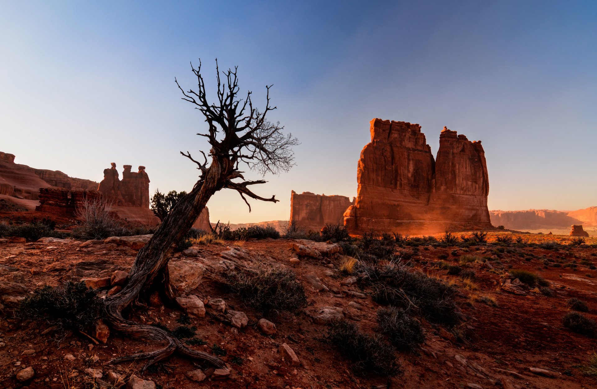 parque nacional de arcos utah estados unidos parque nacional de arcos cañón rocas árbol desierto naturaleza