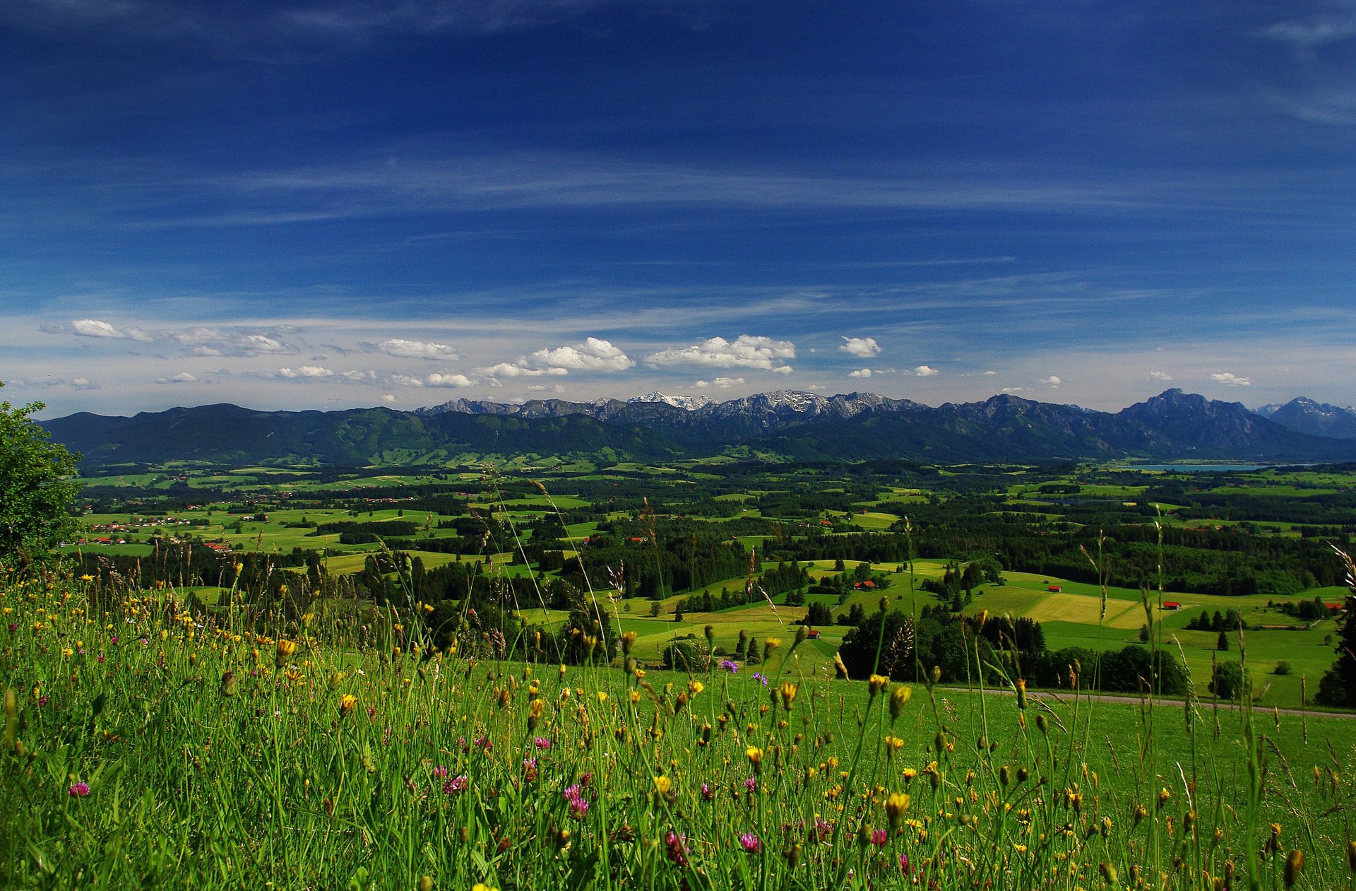 ciel nuages montagnes horizon champ pré arbres fleurs herbe vallée