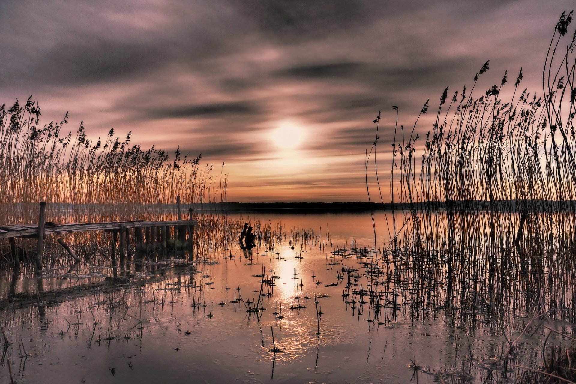 suède baie coucher de soleil roseaux