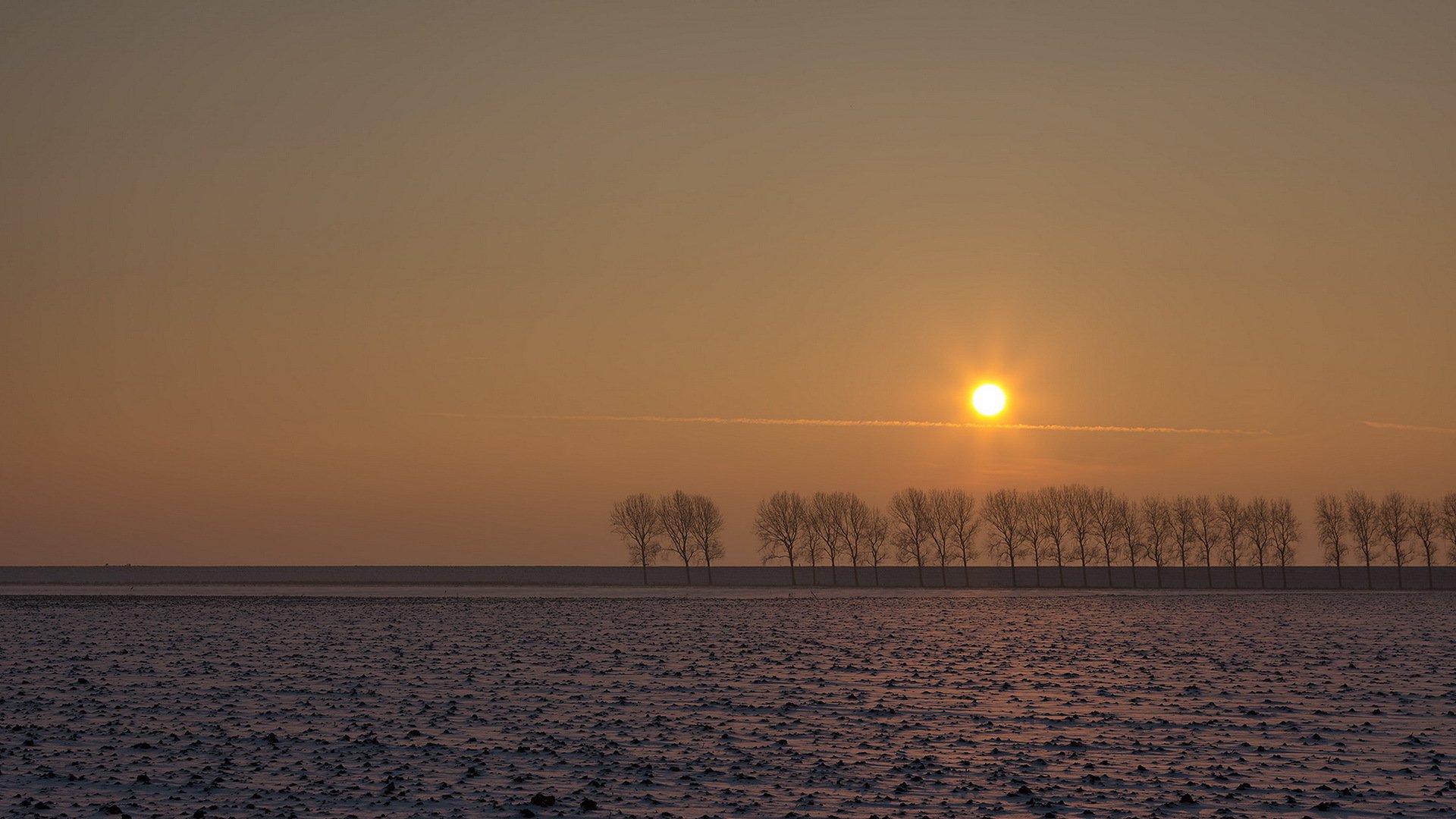 coucher de soleil champ arbres